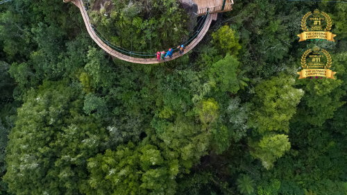 Rotorua Canopy Tours Ziplining Forest Adventure